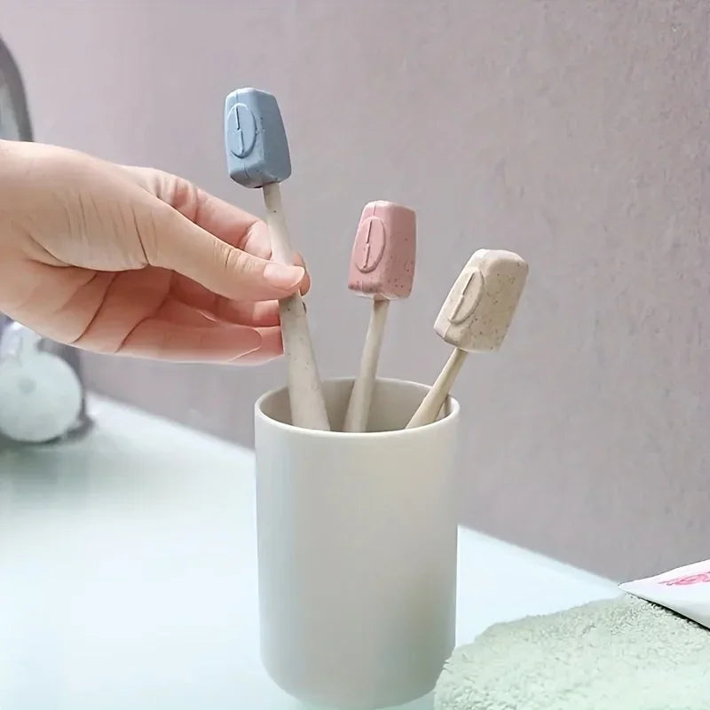 Toothbrush holders organizing toothbrushes on shared bathroom counter